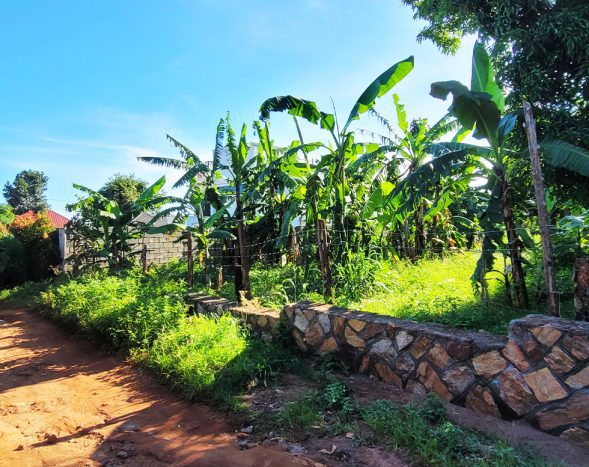 Prime 40 Decimals Plot for Sale in Kawuku, Bwerenga