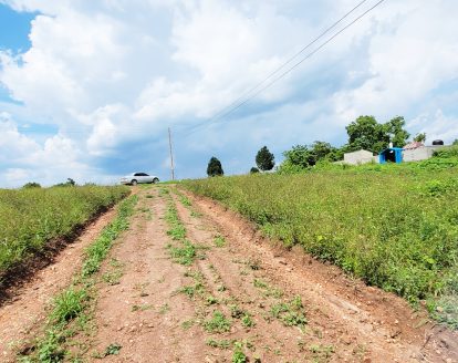 Cheap 50x100ft Plots for Sale in Vumba Estate