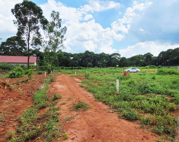 50x100ft Plots for Sale in Zirobwe Town Estate