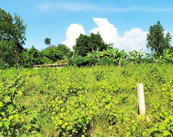 Affordable Estate Plots for Sale in Kiwenda – Nazareth