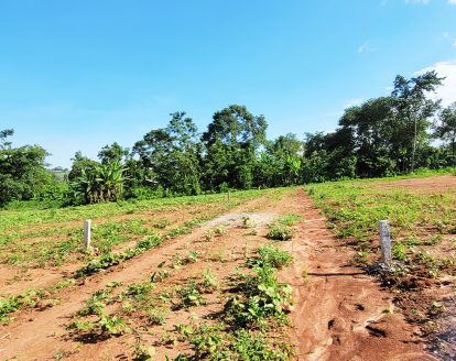 50x100ft Estate Plots for Sale in Gayaza, Kiwenda