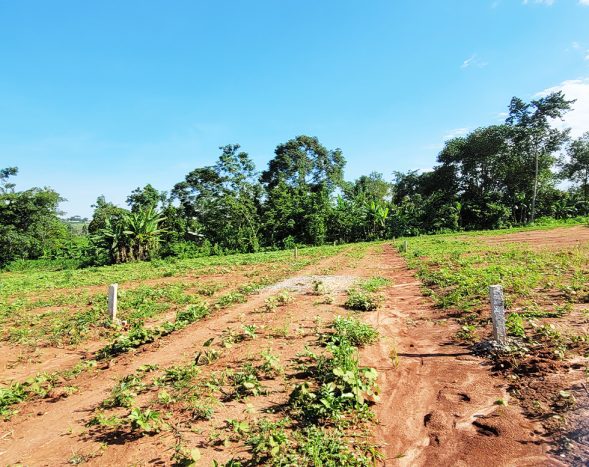 50x100ft Estate Plots for Sale in Gayaza, Kiwenda