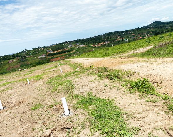 50x100ft Plots for Sale in Bujuuko
