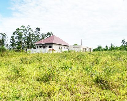 50x100ft Plots for Sale in Buloba, Bukasa
