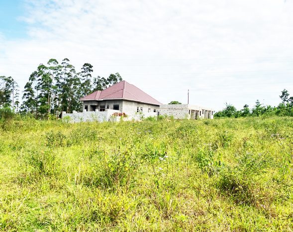 50x100ft Plots for Sale in Buloba, Bukasa