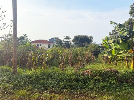 Plot for Sale in Kira