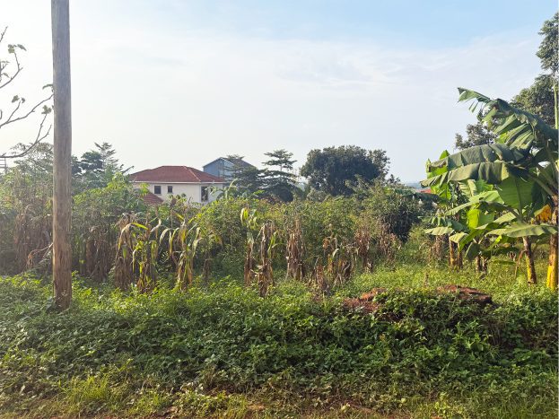 Plot for Sale in Kira