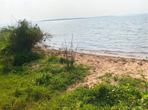 100 Acres Lakefront Land for Sale in Ssi – Nkokonjeru