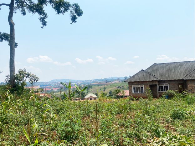 plot for sale in matugga