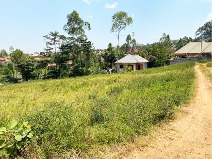 plot for sale on masaka road