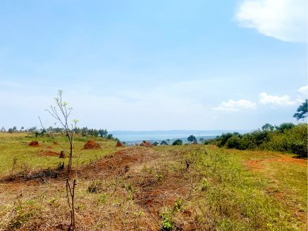 Land for Sale in Kiyindi Nkokonjeru