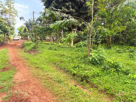 plot for sale in Kira