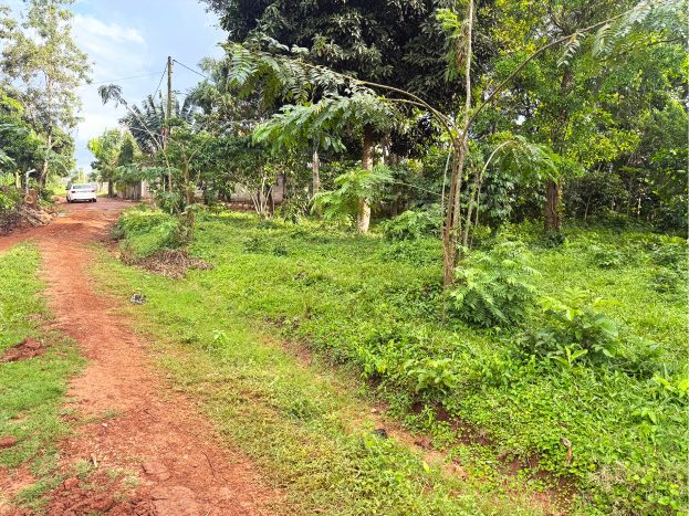 plot for sale in Kira