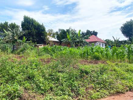 plots for sale Magigye