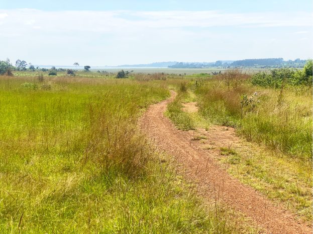 plot for sale on Nakawuka Rd, Ngongolo