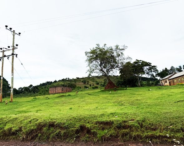 1 Square Mile of Titled Land for Sale in Buwooya, Nkokonjeru – UGX 20M Per Acre