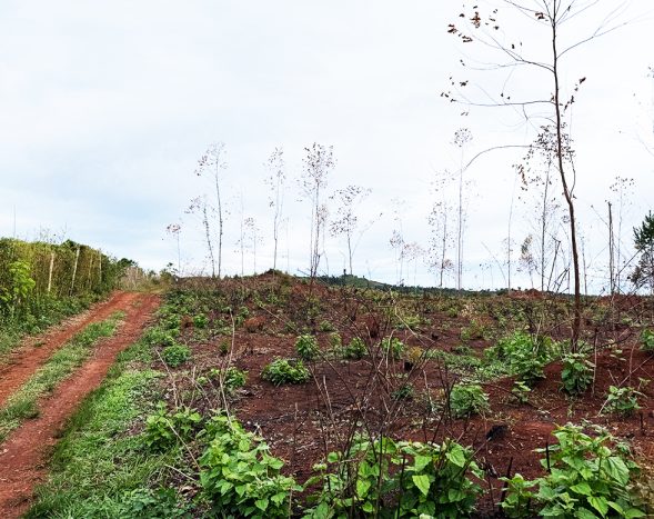 9 Acres for Sale in Najja – UGX 25M Per Acre, 900m from Main Road, Titled Land